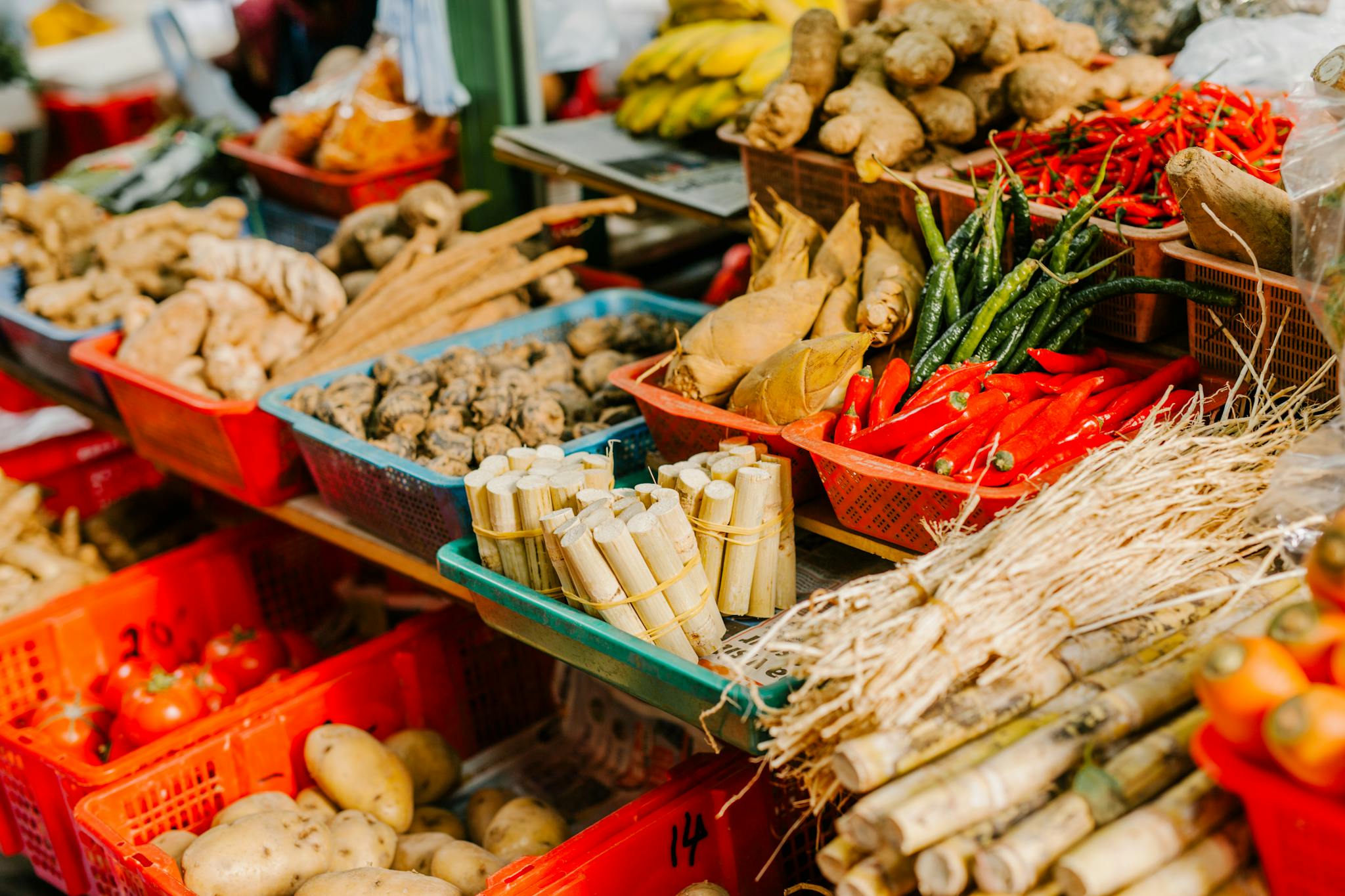 Colorful fresh vegetables and herbs in baskets at an outdoor market, ideal for culinary themes.